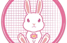 63e56bd15e84cd35ac8ddc04_bunny.png