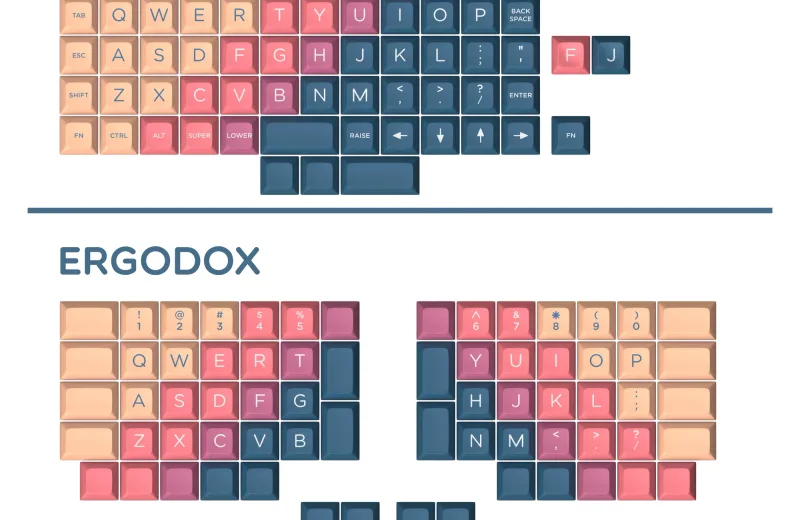 02Ortho_Ergo.webp