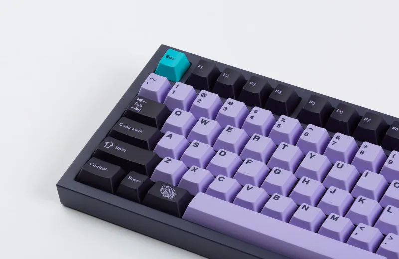 PBT_Taro_2_3000x.webp