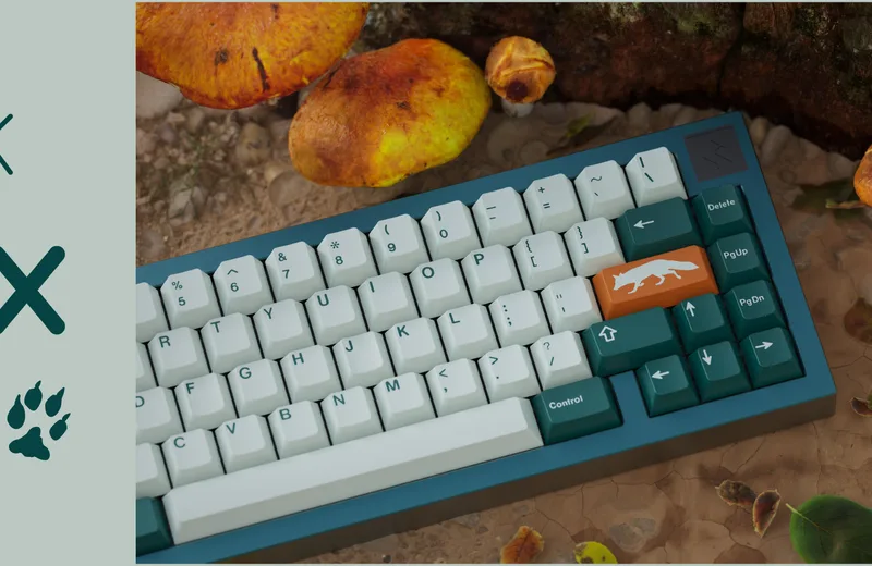 yNIMbDj.jpg