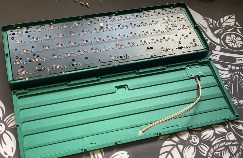 Insides.jpg