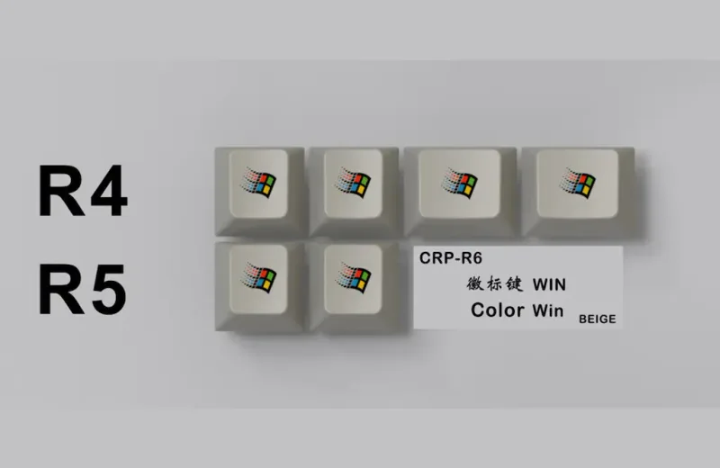 Hnj75OuT3a29HRg58gka_CRP-R6-WIN-Color.webp