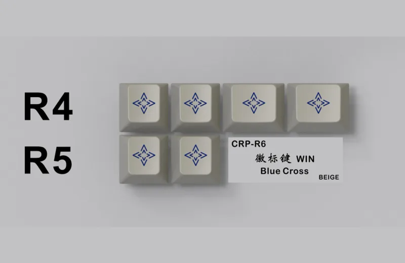yyfAXqYMSkq3J71PwOG6_CRP-R6-WIN-Blue-Cross.webp