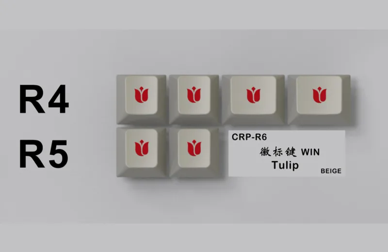 sv6OeVqQdK87aOhKtVau_CRP-R6-WIN-TULIP.webp