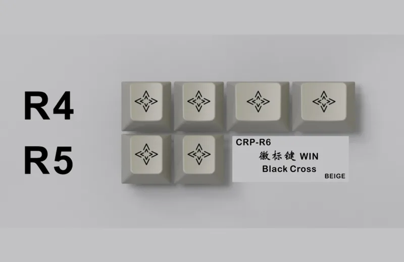 jaiBE3vaQKiRsXyk05hB_CRP-R6-WIN-Black-Cross.webp