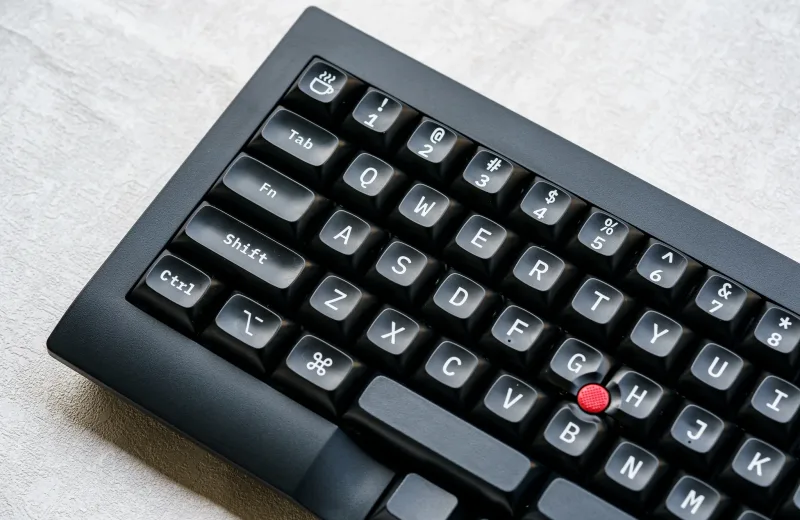 52808961341_f2f53b0ea4_k_6000x6000.webp