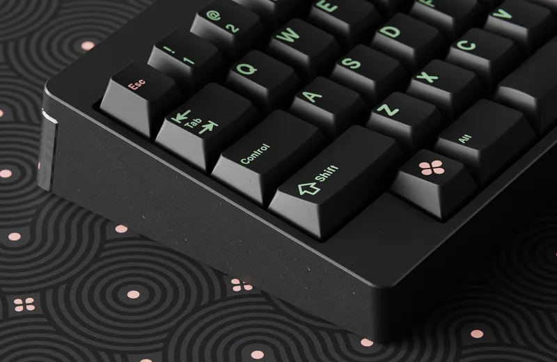 roySx8A.jpg