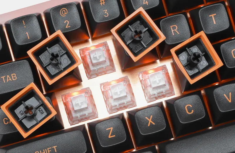 n66Sx5xITn205PIoyzFt_3272-copy.jpg