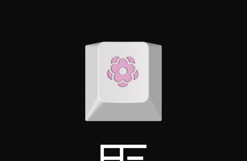 oFmpa6W.png
