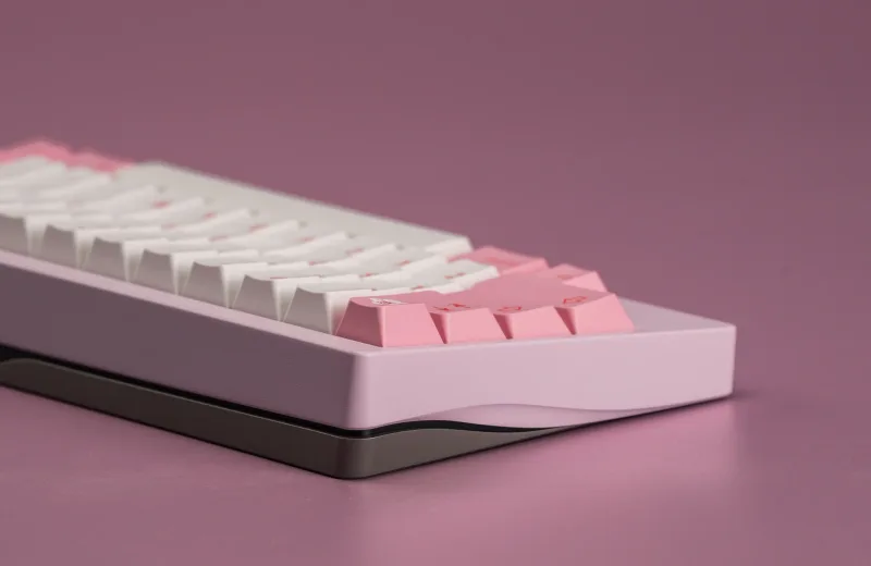 Pink_2_2048x.webp