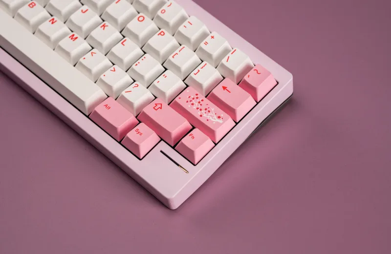 Pink_1_2048x.webp