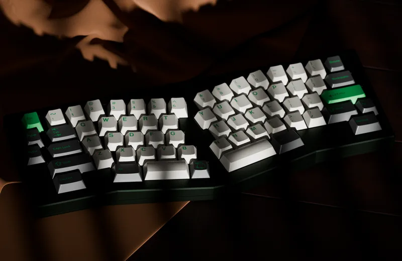 Aein-Coniferous-1.png