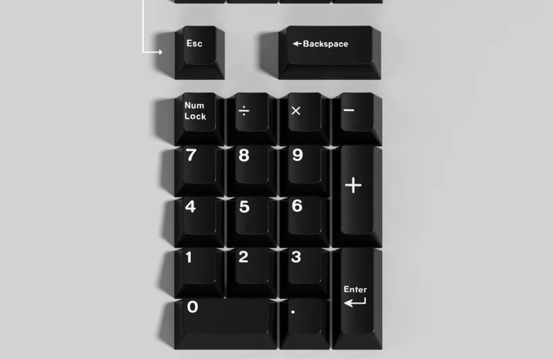 Piglet_Layout.jpg.webp