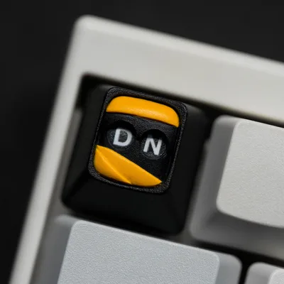 d1.jpg