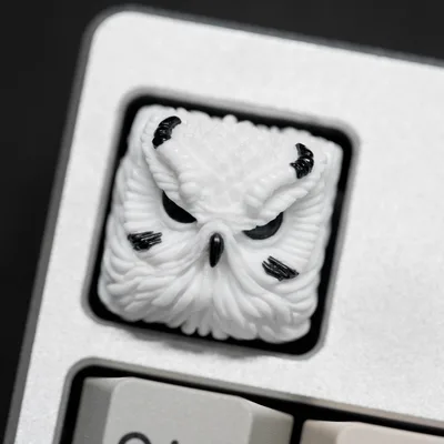 k1.jpg