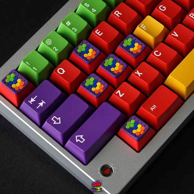 p5.jpg