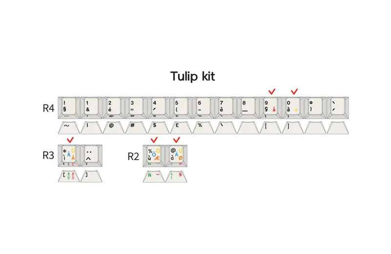 Tulip.webp