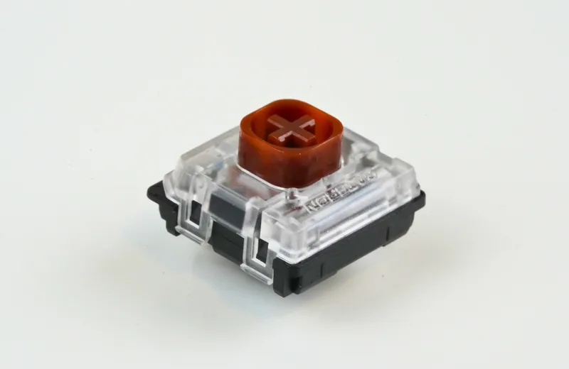 DSC01247.png
