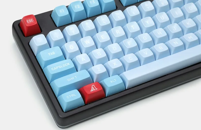 R3seW4pVRauayjHLjxuD_0950.jpg.jpg