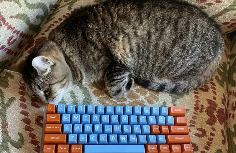 1619139952309.985254788046737551430528-D444A460E3064B72A422482E8AB611F2.jpeg.jpg