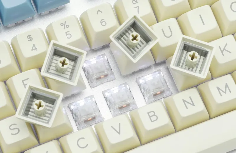 lrKxS83jTnWQHFQywIKF_18406.jpg.jpg