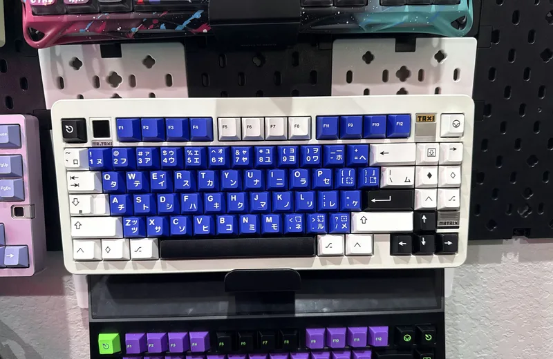 1773436973611.781296347313554793626804-IMG0959.jpeg.jpg