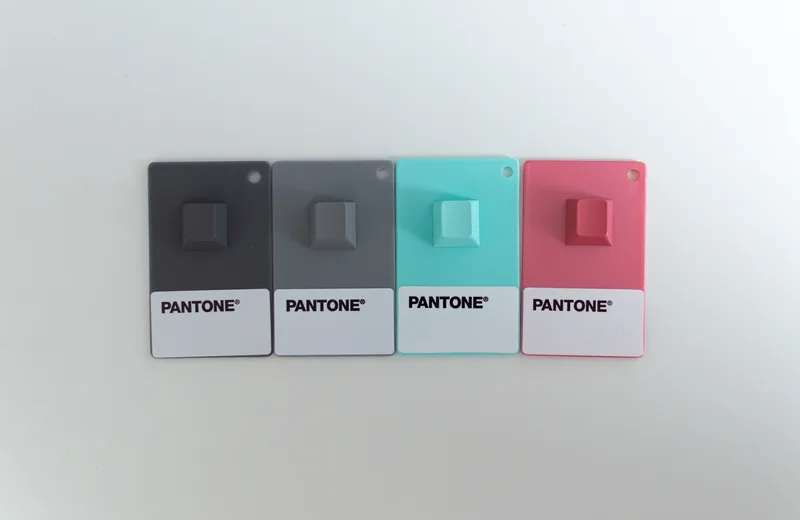 46301668704_e842088729_o.jpg