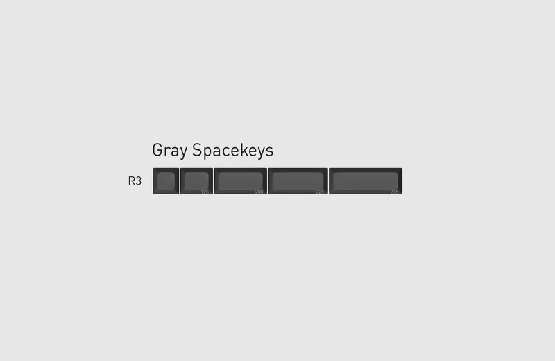 jaWppjnBT52CuL5jEZUK_20 Gray Spacekeys.jpg.jpg