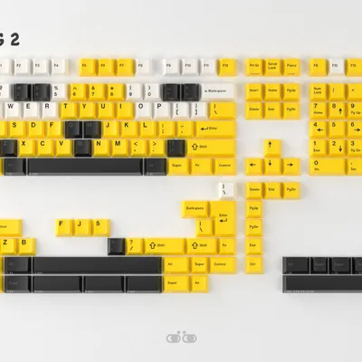 Base_5.jpg