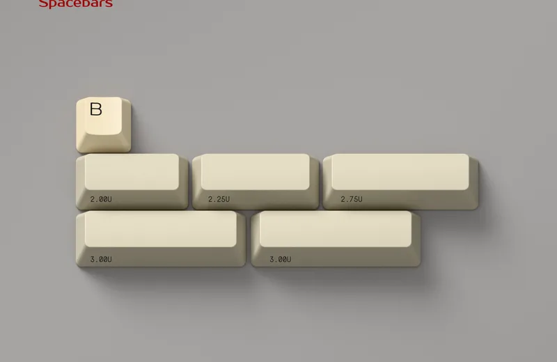 spacebars_8d8c5907-0839-4a0a-9433-1159252d0a73.png