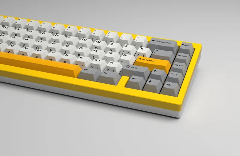 g81_sav_bocc-Right.306.jpg