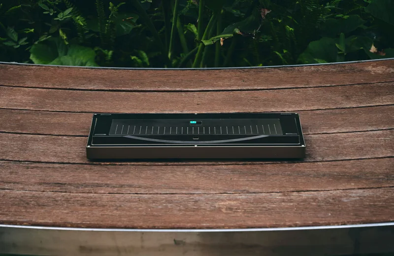 dolch_2.jpg