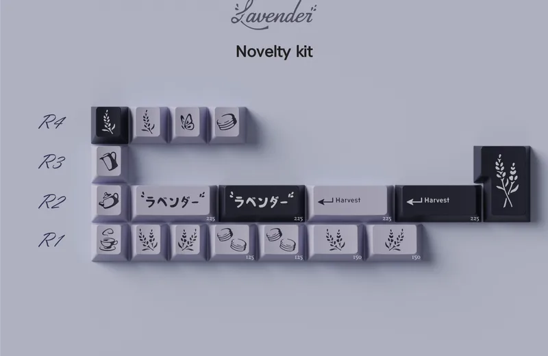 2-Novelties_1.jpg